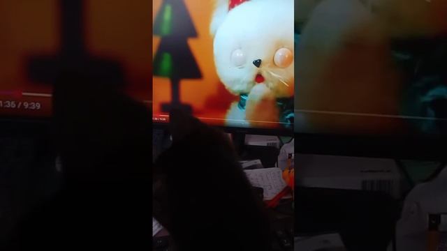 VID-20250519-WA0114