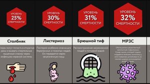 Сравнение_  Смертельные Болезни