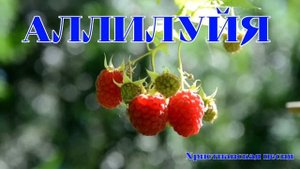 Аллилуйя ❤️ христианская песня