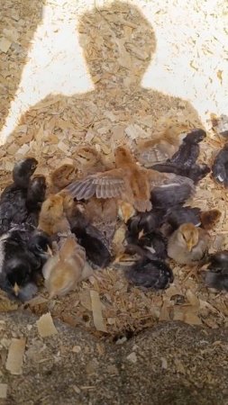 Из архива начало июня