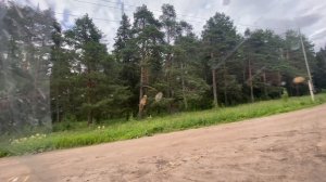 Выскочили в какие то сады DenBan4