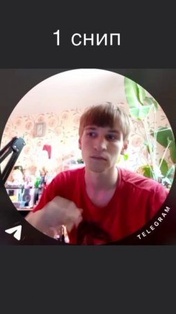 1 снип