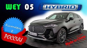 WAY 05 (2025) — Китайский гибрид за 6.5 млн: стоит ли брать?