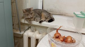 созерцаю в деревне