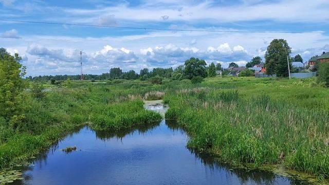 Матушка Россия. Подмосковные пейзажи. Ирга. Река Клязьма. Июль 2025