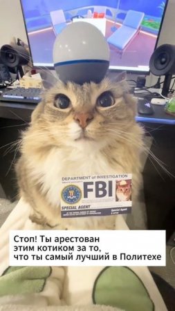 Штраф — сердечко ❤️
