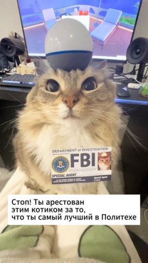 Штраф — сердечко ❤️