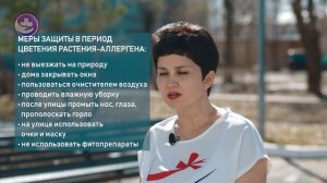 Эстафета здоровья. Аллергия