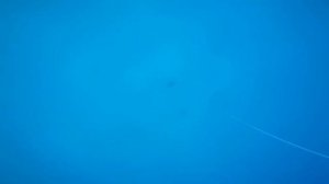 Фридайвинг, январь 2021.