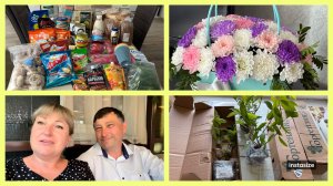 Гуляем по СВЕТОФОРУ 🔴🟢🟡 ГОРТЕНЗИИ с Wildberries. Дети ПОЗДРАВИЛИ 💐