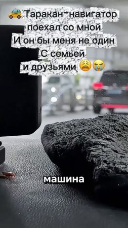 В Китае моют асфальт, как в Германии. Но мне попалось такси с тараканом. Случай редкий!