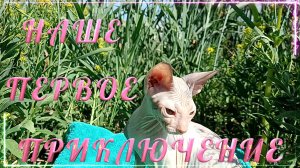 ПЕРВОЕ ПРИКЛЮЧЕНИЕ!!!