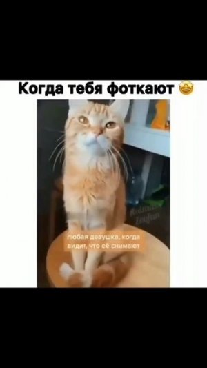 Когда тебя фотографируют. 🌿😄🩷
