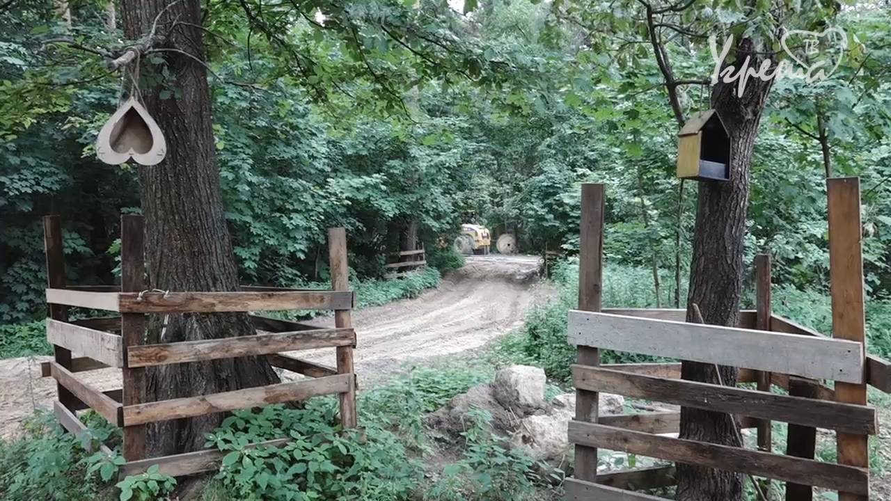 Благоустройство Томилинского лесопарка