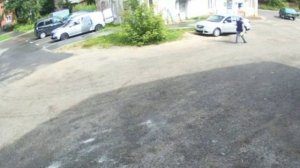 ‼️В посёлке Буденновец под Дмитровом водитель переехал собаку у обочины и уехал‼️