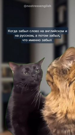 Продолжаем рубрику с мемами про английский язык