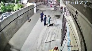 Лев атаковал прохожих