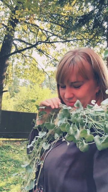 1 сентября 2024 г. смотреть онлайн