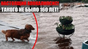Стихия в Петербурге: потоп, ураганный ветер и раненые на улицах! Подробности событий!