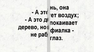 Моё денежное дерево развалилась в разные стороны и лежит.
Работаем только кактус и я.
Такая же зелён