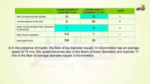 Nerve impulse and action potential-eng (1080p with 25fps)
