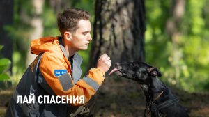 Лай спасения