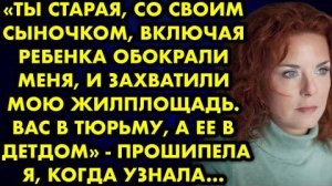 -Ты, старая, со своим сыночком, включая ребёнка обокрали меня и захватили мою жилплощадь...