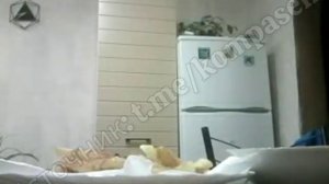 KomputerSemНовалон ест картошку а Аким разозлился на него [get-save.com]