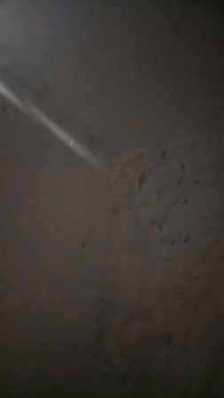 VID-20250129-WA0004