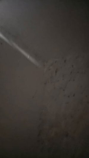 VID-20250129-WA0004