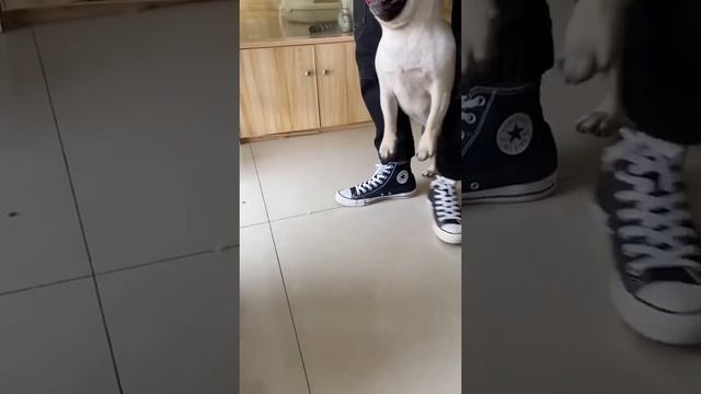 Обман и жестокость