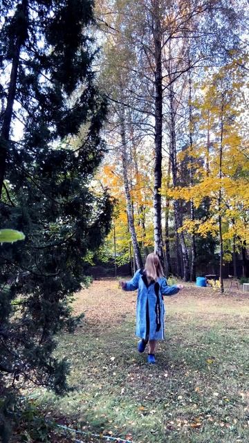 1 октября 2024 г. смотреть онлайн