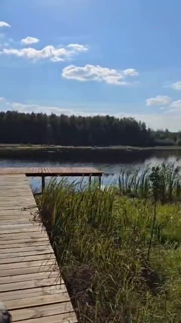 Кайфовый отдых,рай на берегу реки! смотреть онлайн