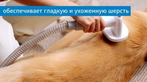Набор для груминга собак и кошек: пылесос, фен и насадки Pawgether GP1 3-в-1