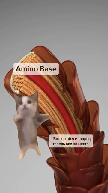 Что происходит в волосах, когда нанесли Amino Base)) смотреть онлайн