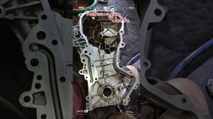 замена цепи ГРМ Volkswagen Jetta