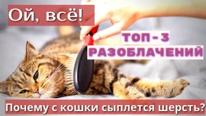 Шерстепад. 3 основные причины.