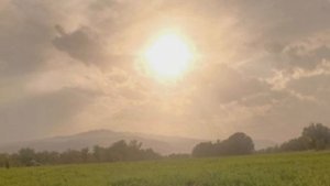 гача 🌹🎧 мем 🌹🎧 для коллабов 🎧🌹 добавляйтесь 🌹🎧