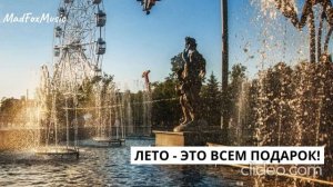 Лето - это всем подарок!