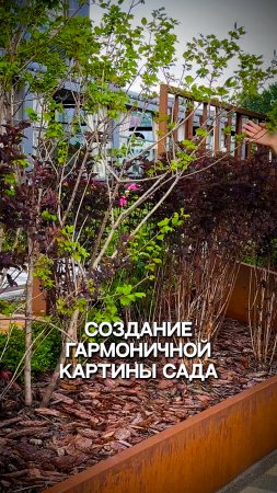 создание гармоничной картины сада