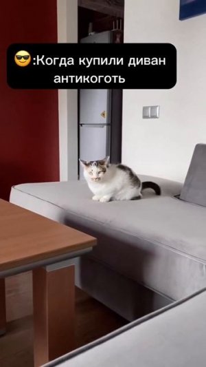 Стресс