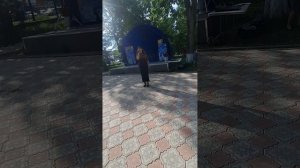 " Синеглазые Дельфины"