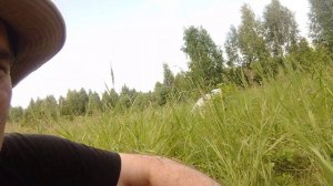 по ягоды. лесная кулубника)))