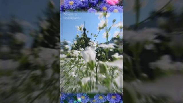 С Днём рождения!