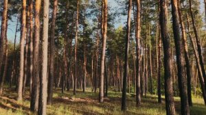 7 июля открывает - Кармический коридор.