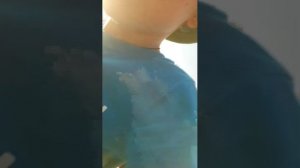мы строим башню и ещё строим дом гуся, мы и собаки. и песочный. остров