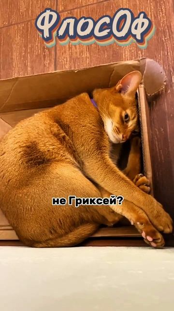 Мыслитель