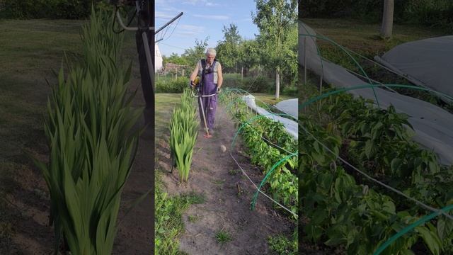 Насадка на бензокосу для прополки...