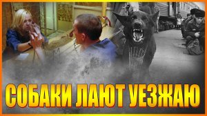 СОБАКИ ЛАЮТ УЕЗЖАЮ