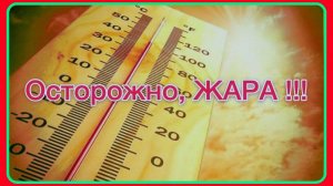 Чем притенять растения в сильную жару.